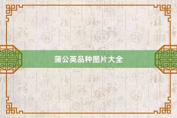 蒲公英品种图片大全