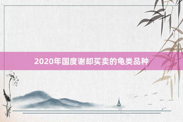 2020年国度谢却买卖的龟类品种