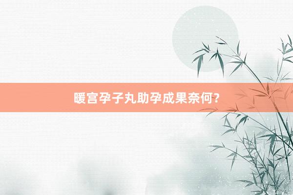 暖宫孕子丸助孕成果奈何？